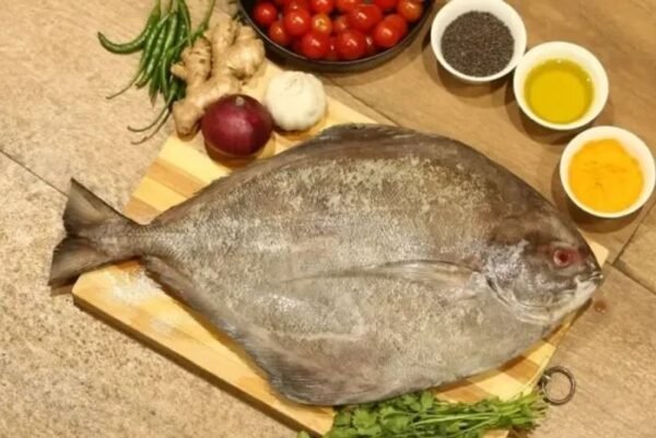 Black Pomfret