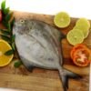 Black Pomfret