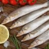 Lady-Fish Ladyfish