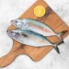 MACKEREL