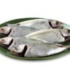 MACKEREL