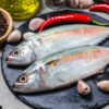 MACKEREL
