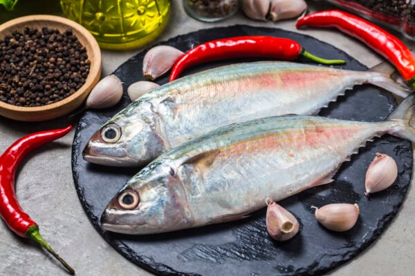 MACKEREL